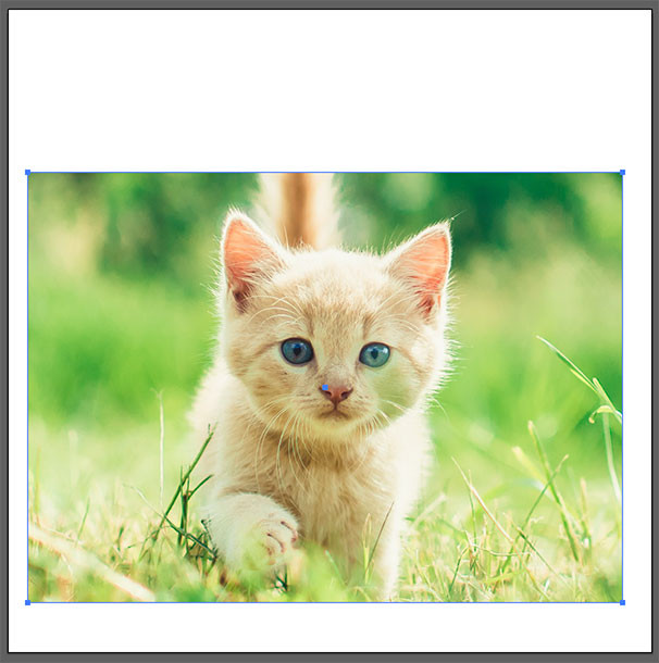 Cropped image in a rectangular shape using clipping mask