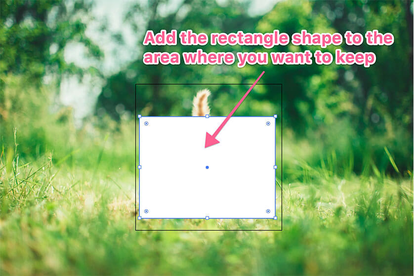 Rectangle shape drawn on image for clipping mask