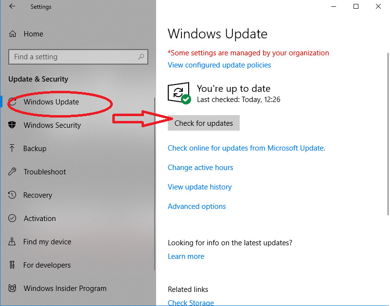 Update Windows Photo Viewer through Windows Update settings