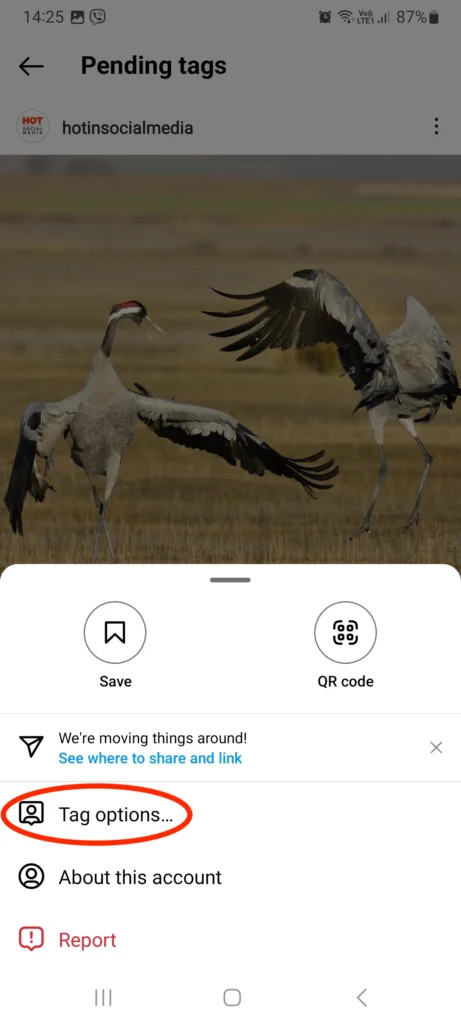 Tag options on Instagram