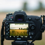 A comparison of RAW, JPEG, and PNG image formats, highlighting their differences in file size, quality, and use cases
