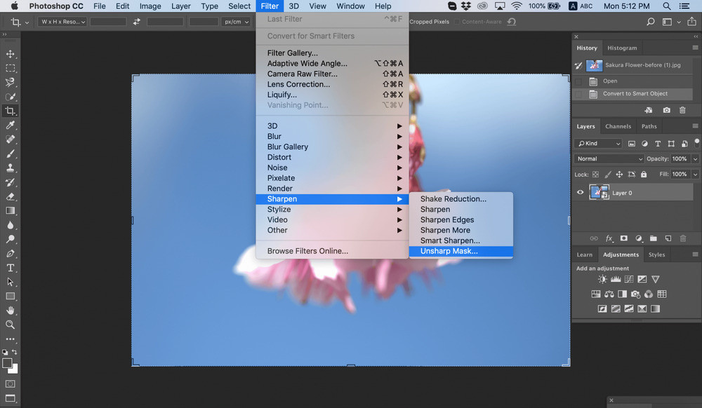 Unsharp Mask settings for detailed image sharpening