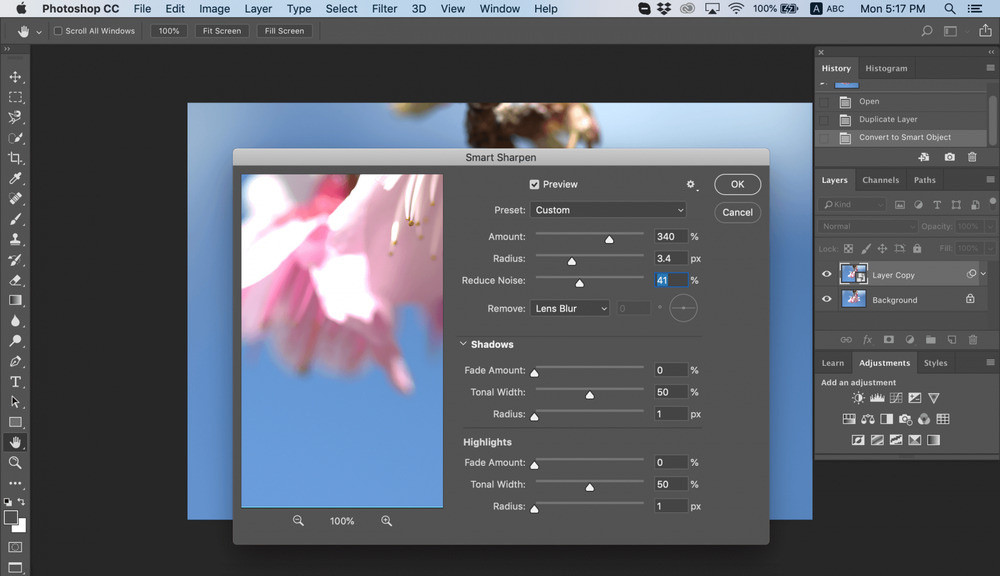 Smart Sharpen settings for a landscape