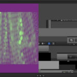 Cropped screenshot to zoom out the photos