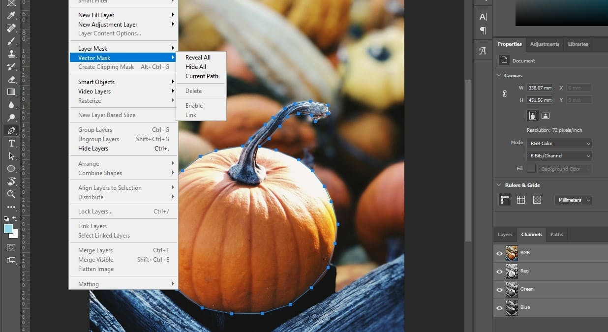Editing photos with vector masks, utilizing scalable vector shapes for resolution-independent masking, ideal for crisp and clean edges.