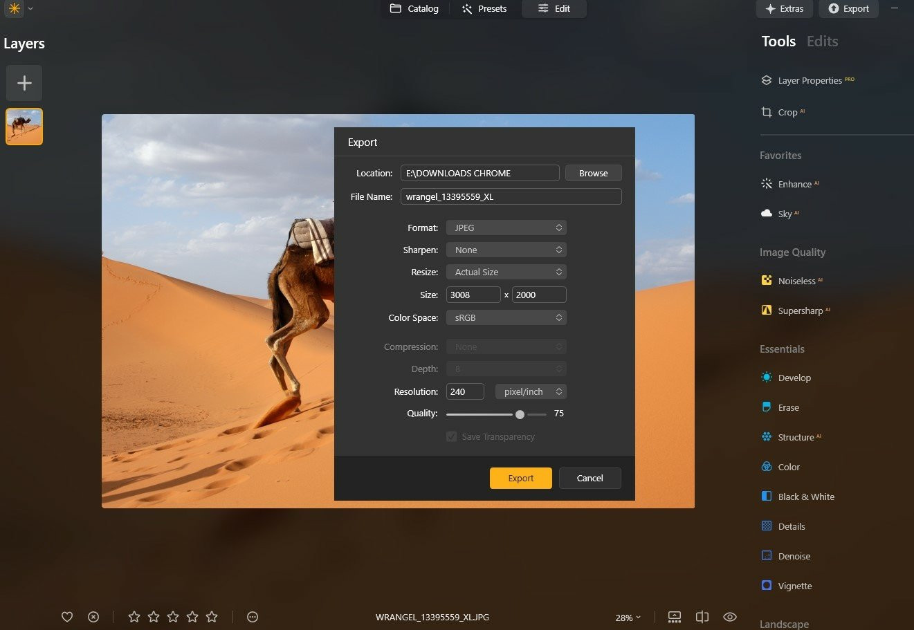 Luminar Neo Interface