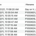 PowerPhotos interface showing duplicate photo detection