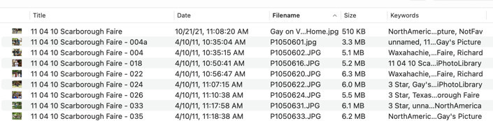 PowerPhotos interface showing duplicate photo detection