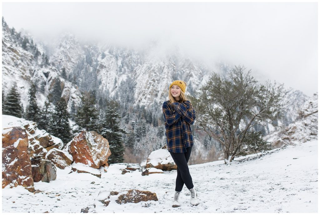 Storm Mountain Landscape: Big Cottonwood Canyon