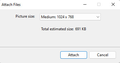 Screenshot of the Attach file to resize with email option