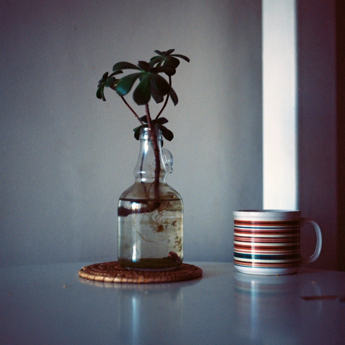 Vintage Style Photo
