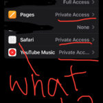 iPhone Photo Access Settings