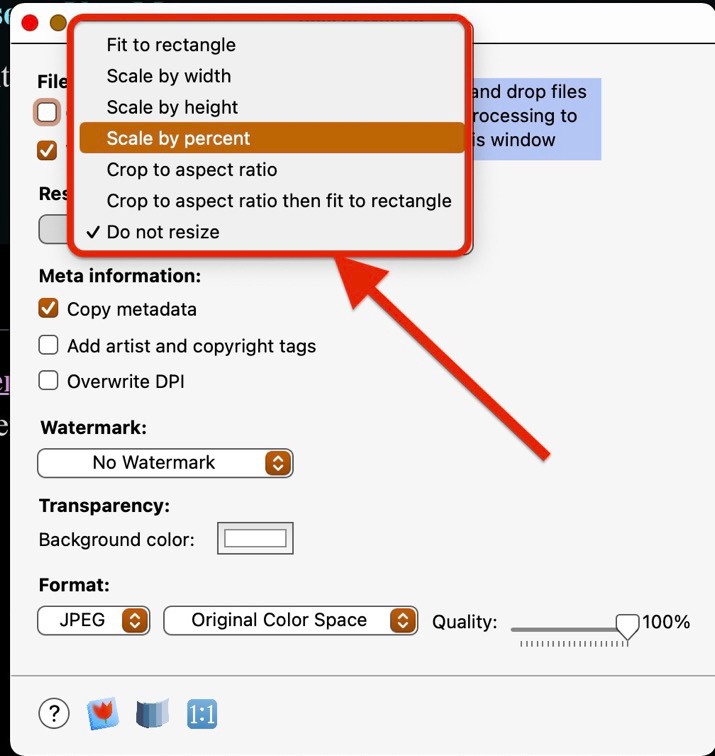 Resize Master interface showing resizing options