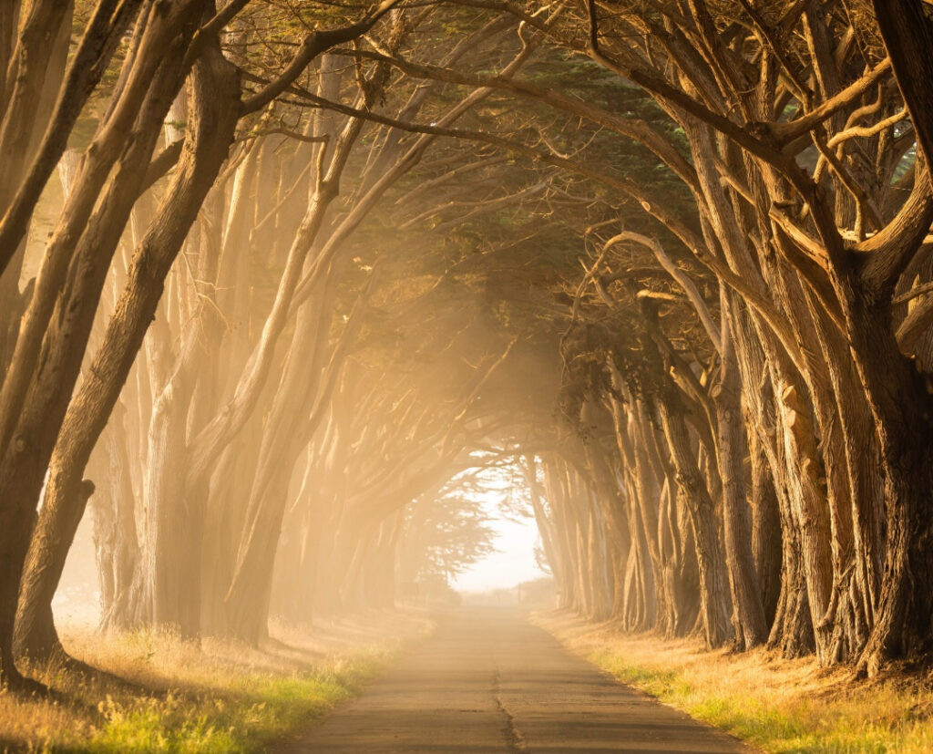 Landscape photography image with sunlight glare