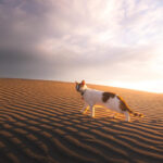 Rule of Thirds Example: Landscape photo applying the rule of thirds for balanced composition