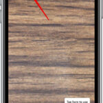 Profile icon on Snapchat