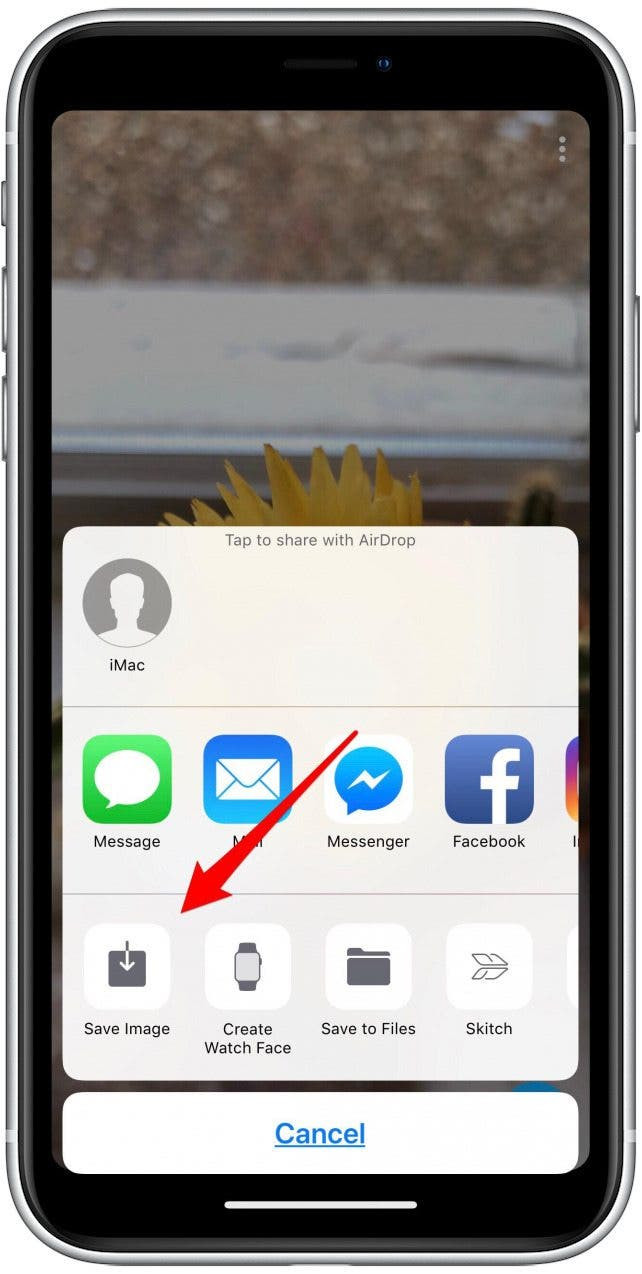 Save image option