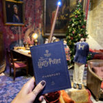 Harry Potter themed captions for Instagram posts with wand and Harry Potter themed ring