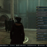 Hogwarts Legacy screenshot showcasing the Photo Mode options