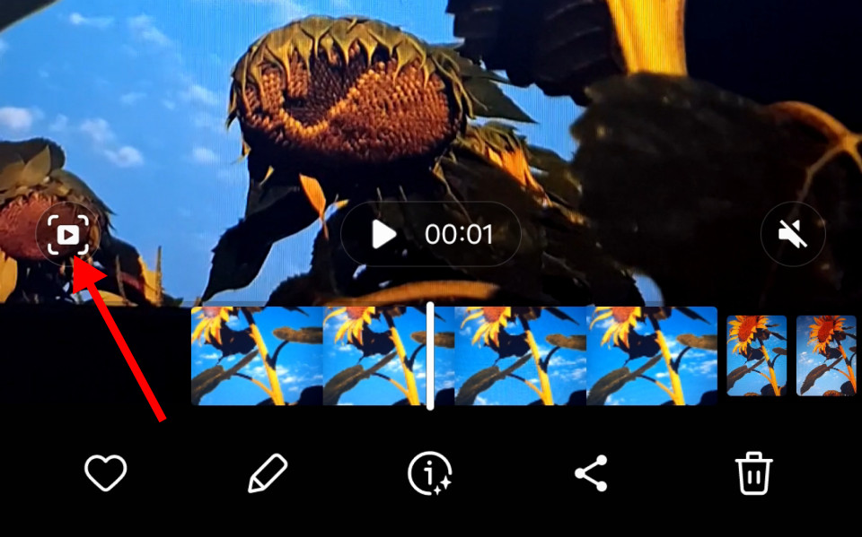 Quick Crop Button in Motion Photo