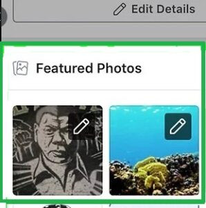 Find the Featured Section