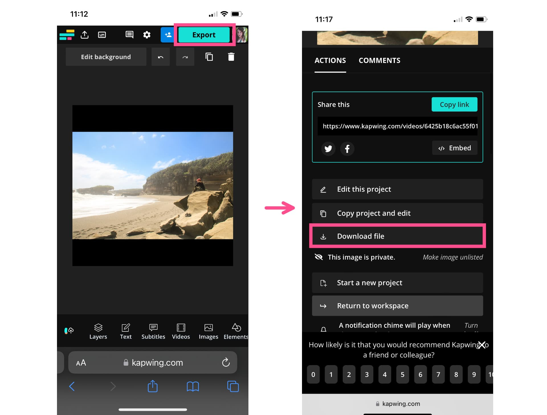 Export and Download