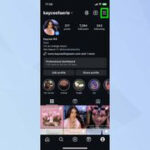 Instagram profile
