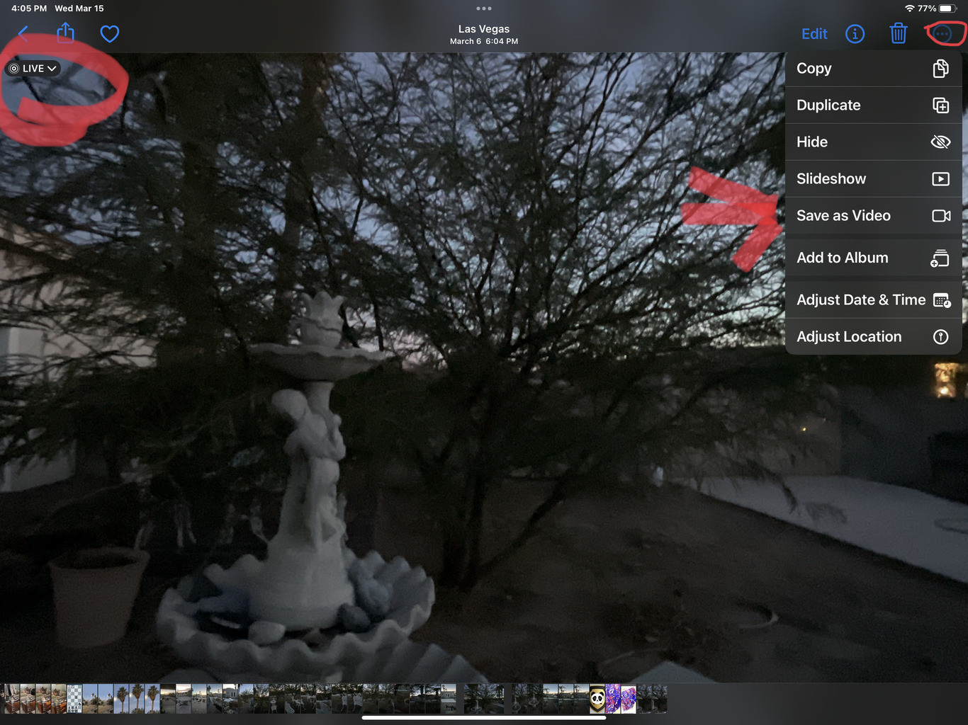 iPad Pro showing Live Photo menu