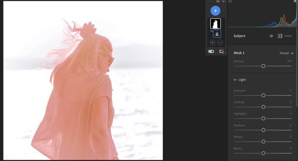 Select Subject Adjustment Brush Mask Lightroom AI