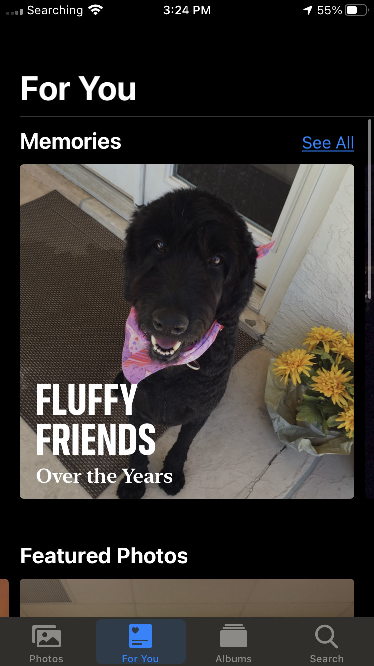 iPhone home screen with Photos widget displaying a family photo