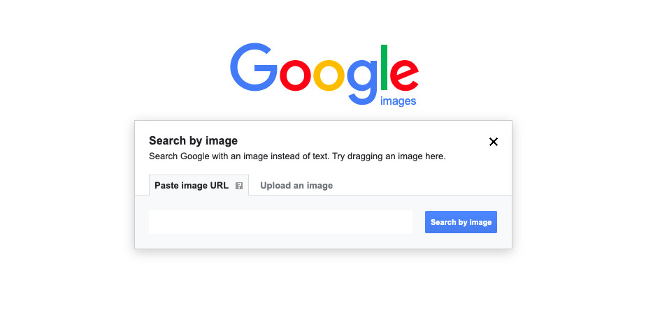 Google image search box