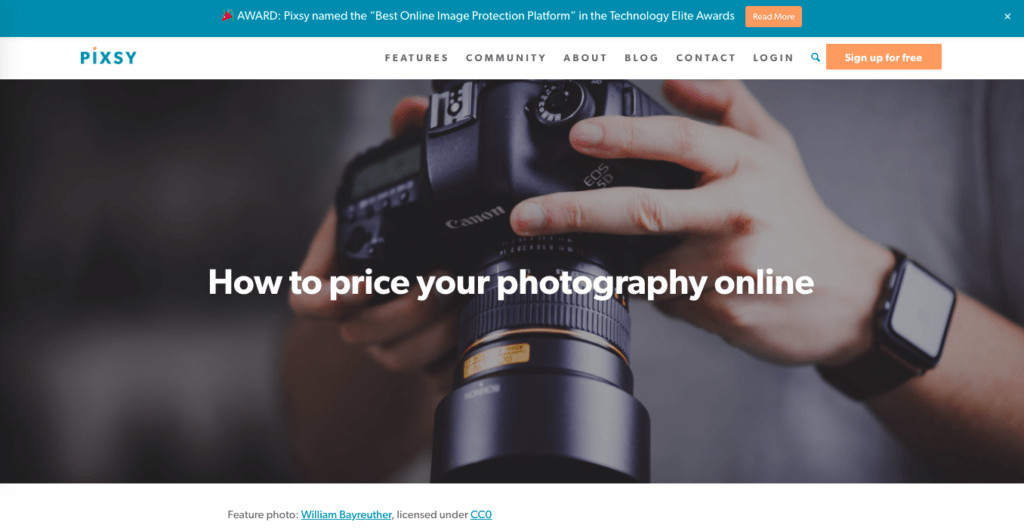 An image credit example from a Pixsy article.