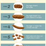 Bristol Stool Scale
