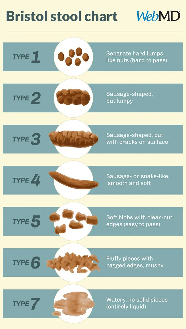 Bristol Stool Scale