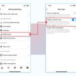 adjust Instagram data setting in iPhone
