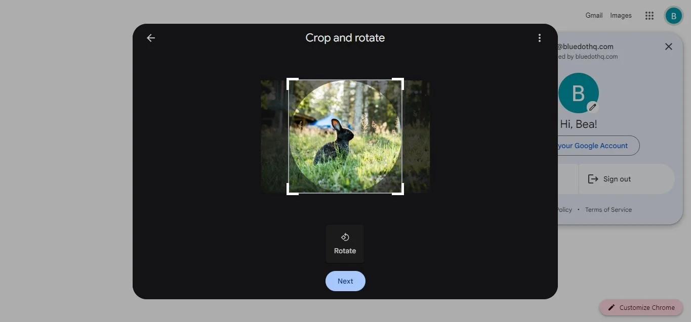 Adjust Google profile photo on PC by cropping or rotating the image