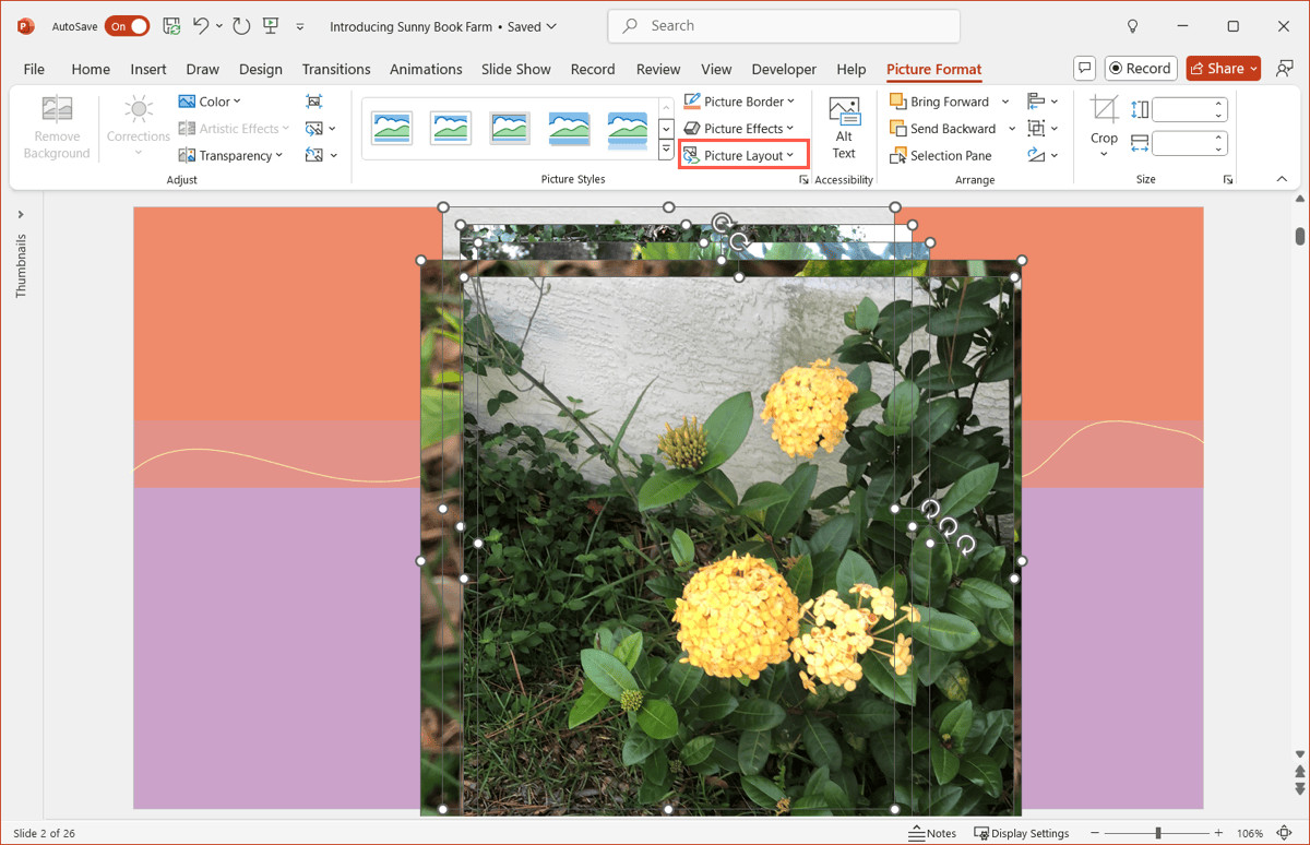 Selecting multiple photos to create a picture layout in PowerPoint
