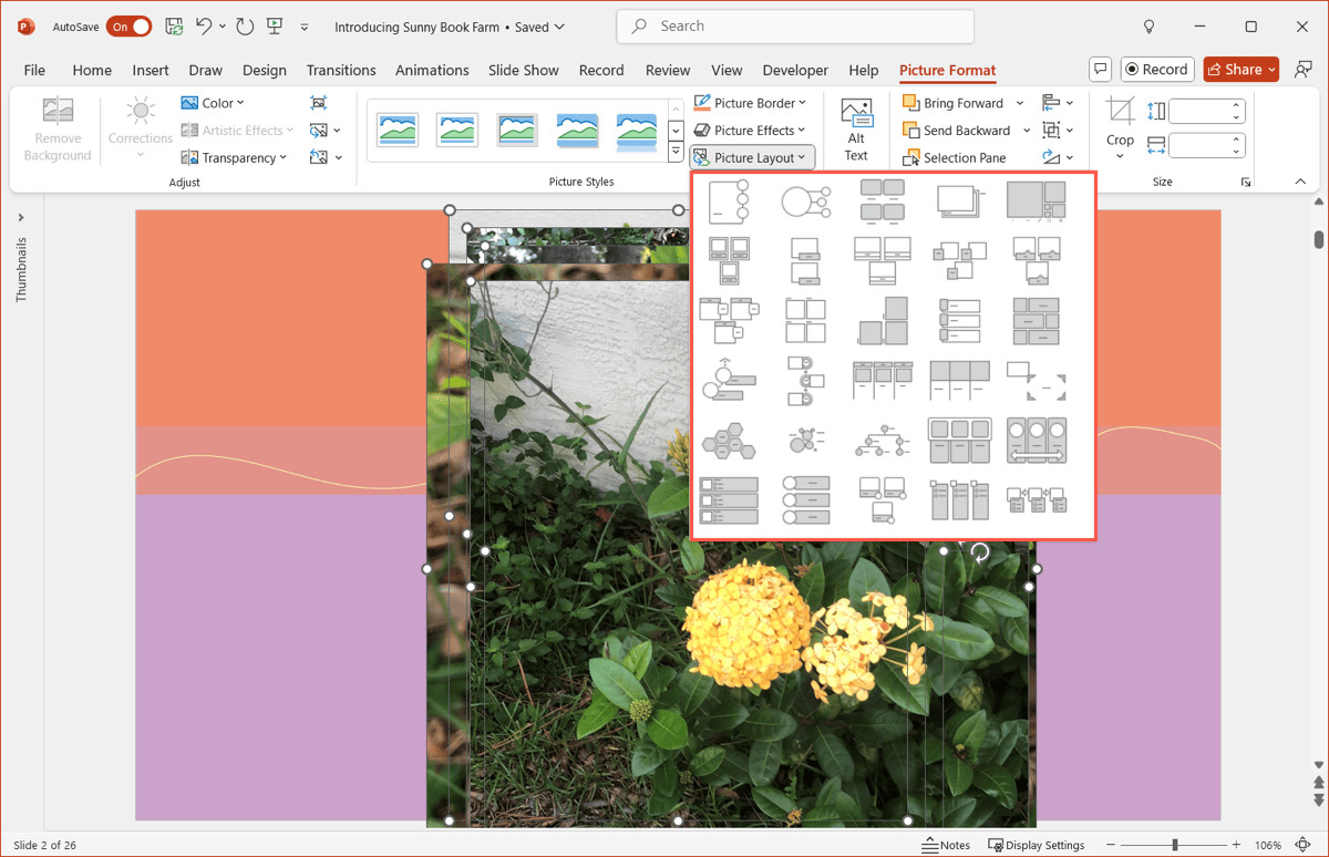 Previewing different picture layouts in PowerPoint to arrange photos
