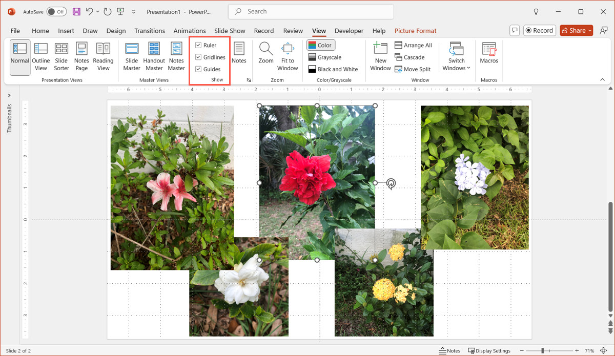 Enabling guides and gridlines in PowerPoint for precise photo alignment