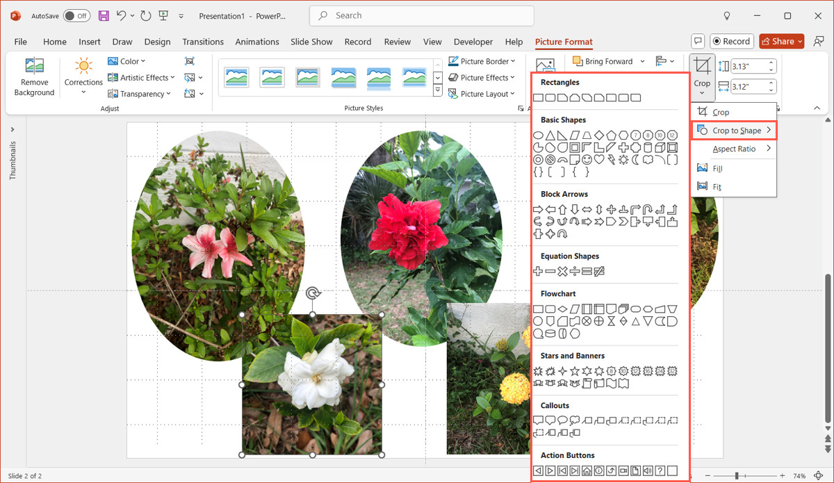 Cropping a photo to a shape in PowerPoint to enhance visual design