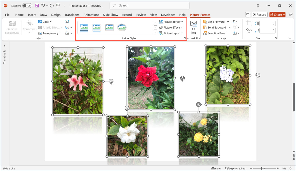 Exploring picture styles in PowerPoint to add effects to photos