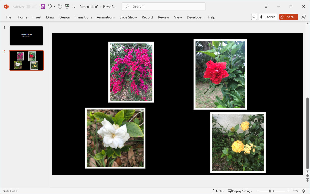 A completed PowerPoint photo album with multiple images per slide