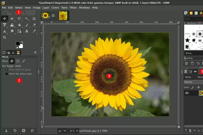 Home Page of XGimp