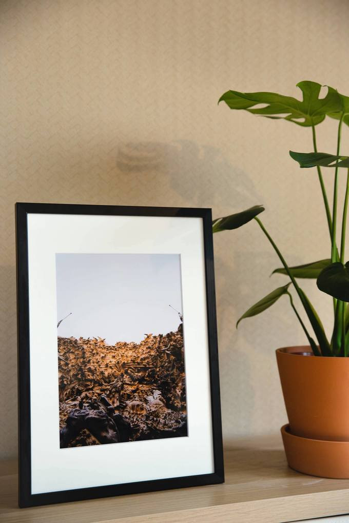 Eleanor Cunningham photography framing