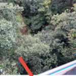 Cropping interface in the Photos app on an iPhone, showing the crop tool selected and ready for adjustments.