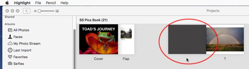 Fixed Pages in Shutterfly Photo Books: Non-removable blank pages at the beginning and end protect content.