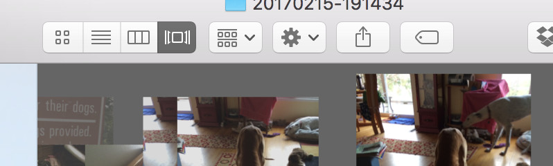 Finder search results showing image files