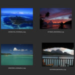 Contact Sheet View in Preview on Macbook for viewing multiple photos