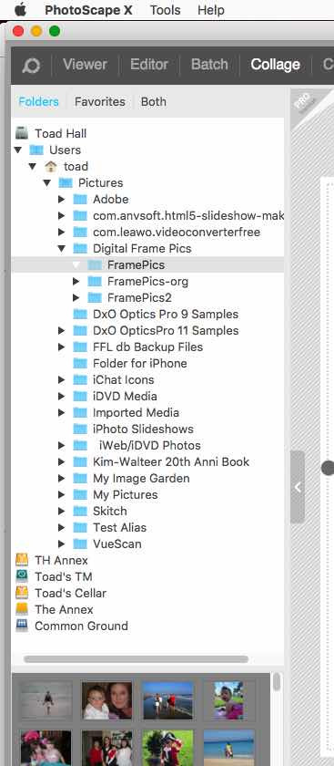 Google Photos Collage Interface showing options to select photos and create a collage
