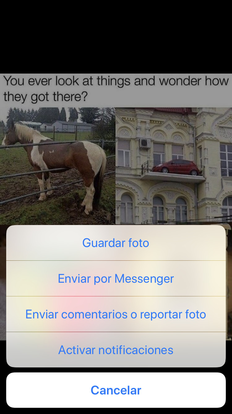 iPhone Save Photo Option